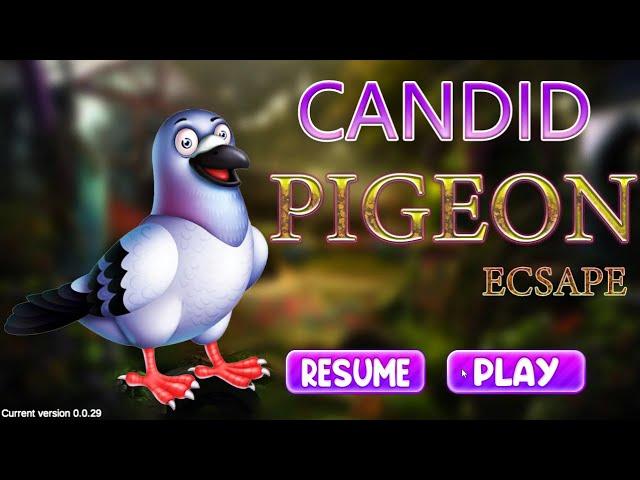 G4K Candid Pigeon Escape Game Walkthrough