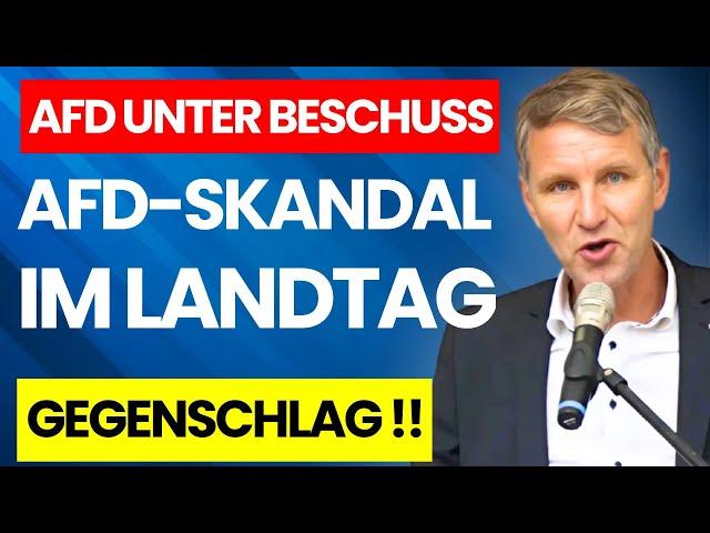 AFD AUF DEM VORMARSCH! AFD UNTER BESCHUSS! LANDTAG EKLAT SCHOCKIERT ALLE! AFD ERTAPPT ETABLIERTE!!