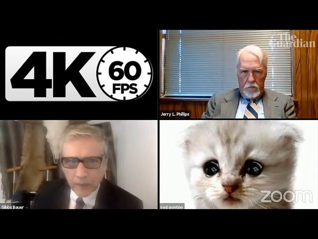 "I'm not a cat!": US lawyer's Zoom catastrophe「4K 60FPS」by Dalƒ