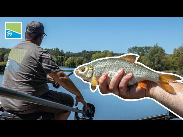 PÊCHE DE GARDON À LA CANNE | Session technique avec Baptiste : lignes, amorce et stratégie ...