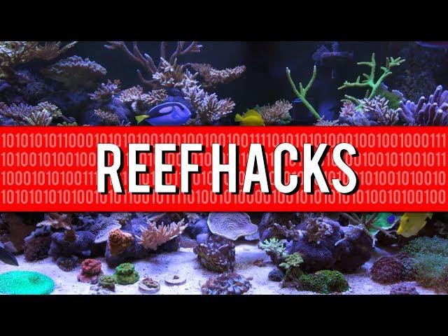 Top 10 Household Reef Aquarium Hacks