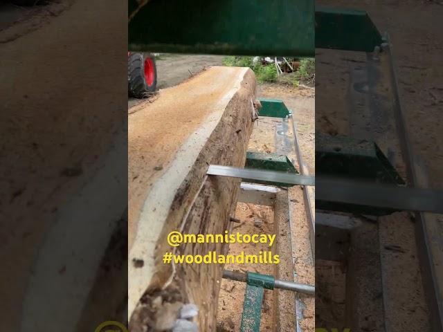 Milling Cedar!  #woodlandmills #sawmill