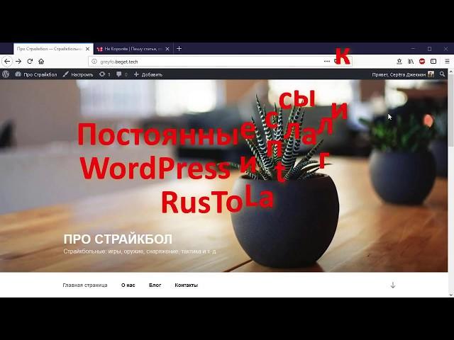 Настройка постоянных ссылок (ЧПУ) WordPress плагином RusToLat