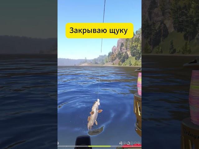 Русская рыбалка 4 Щука улов