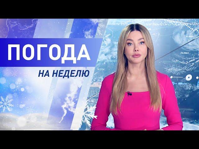 Погода на неделю 23 – 29 января 2023. Прогноз погоды. Беларусь | Метеогид