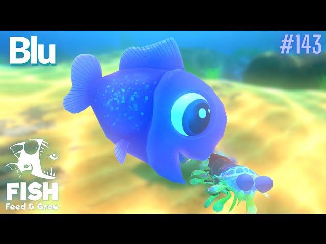 Feed And Grow Fish : Blu