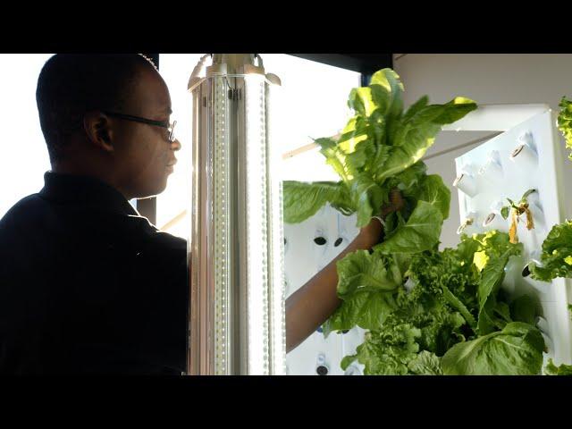 Cardinal Works Students Grow Fresh Food for Mentor Students