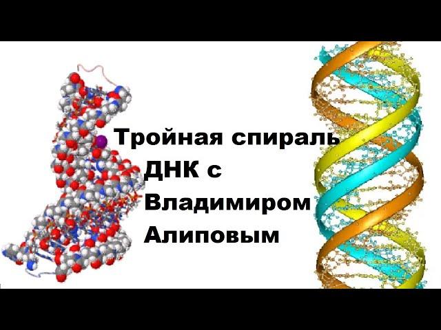 Тройная спираль ДНК с Владимиром Алиповым