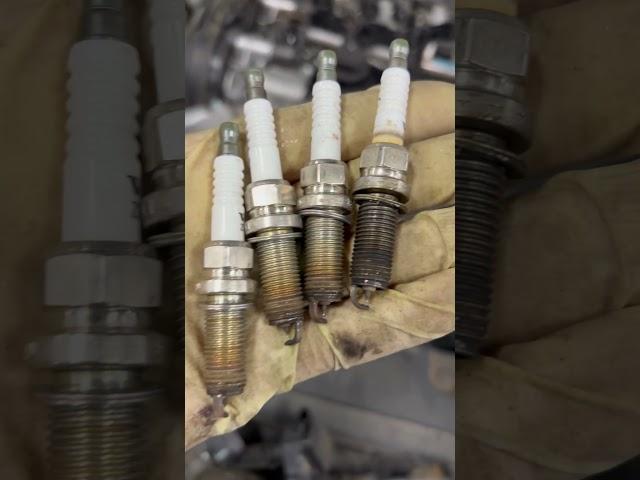 When Should You Replace Spark Plugs #car #sparkplug #maintenance #diy