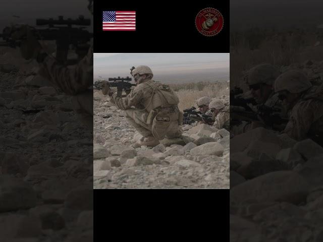 Fox Company, 2nd Battalion, 23rd Marines on Range 400 #no1trending #militaryvhilcles #army #marines