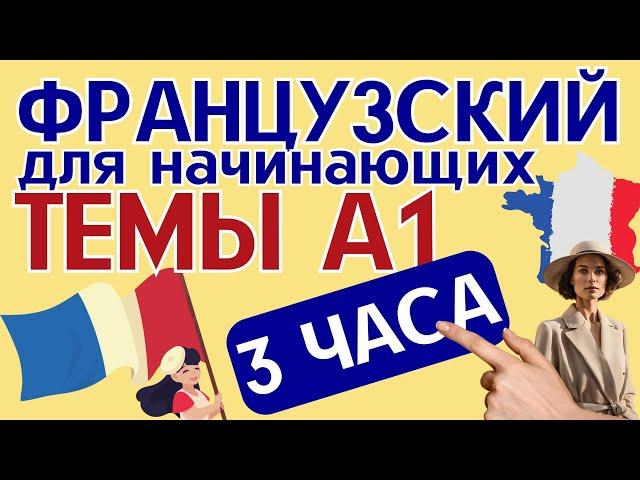 ФРАНЦУЗСКИЙ ЯЗЫК С НУЛЯ КУРС А1 ЗА 3 ЧАСА ТЕМЫ А1 ДЛЯ НАЧИНАЮЩИХ