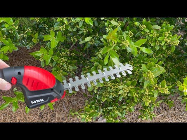 Many Uses, MZK Hedge Trimmer and Grass Shears Review