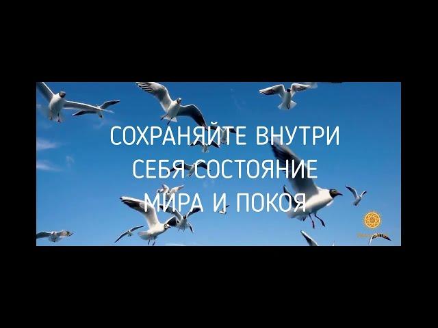 МИР И ПОКОЙ ВНУТРИ. Научно-исследовательский эксперимент.