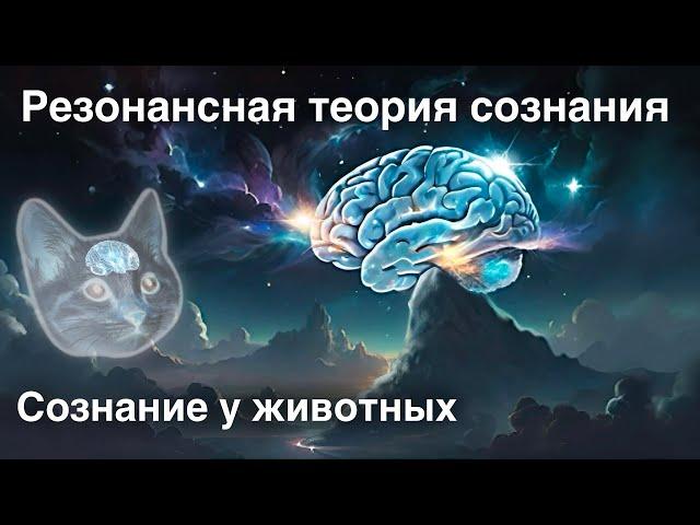 Резонансная теория сознания | Сознание у животных