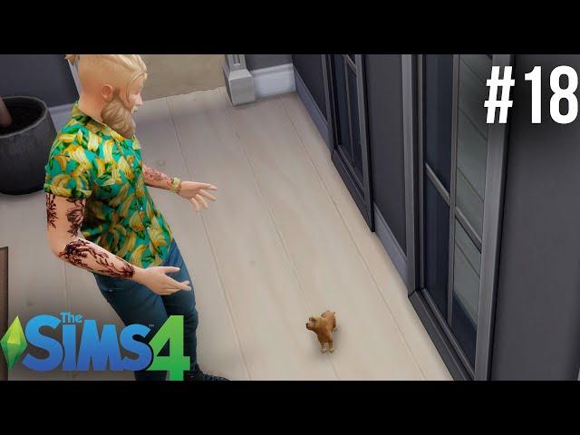 Питомцы в Симс. Как завести собаку? | Sims 4 #018