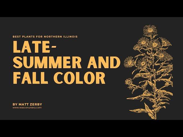 How to Choose Plants for Late-Summer and Fall Color.