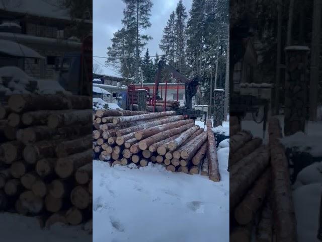 Разгрузка бревен сосны для забора в стиле Викингов отзыв заказчика