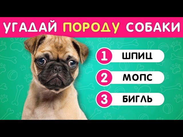 УГАДАЙ ПОРОДУ СОБАКИ ПО ФОТО  / EMOJI COOL 