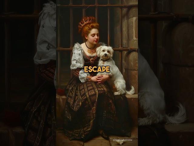 Mary Queen of Scots' Daring Escape with Her Maltese Dog #wueen #History #dog