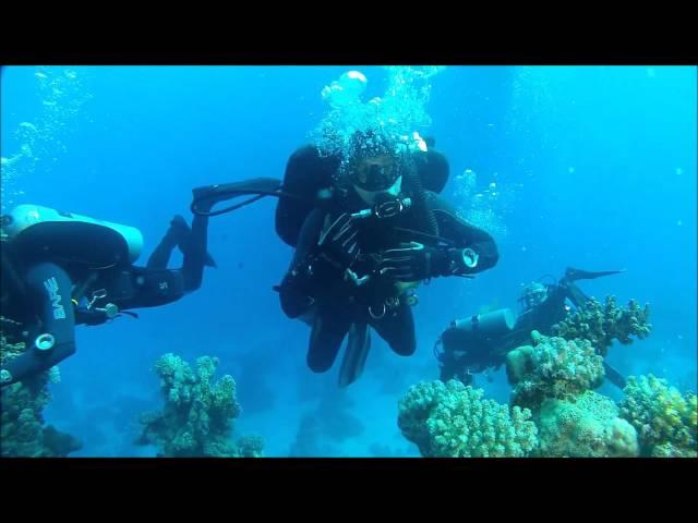 Diving Safari 2015