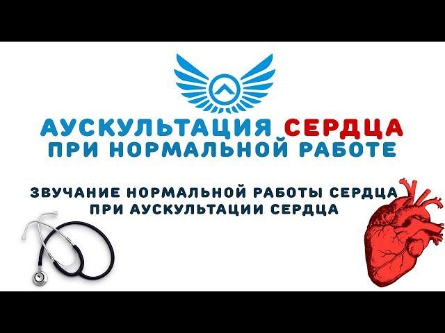 Аускультация сердца: нормальная работа сердца (в норме)