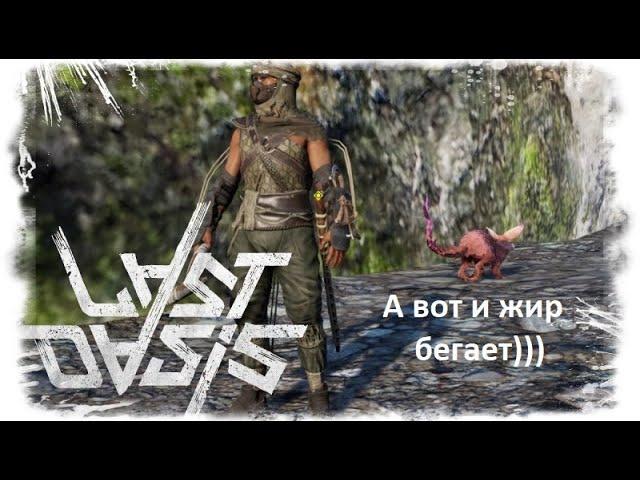 Last Oasis - где взять жир? Зачем и для чего он нужен?
