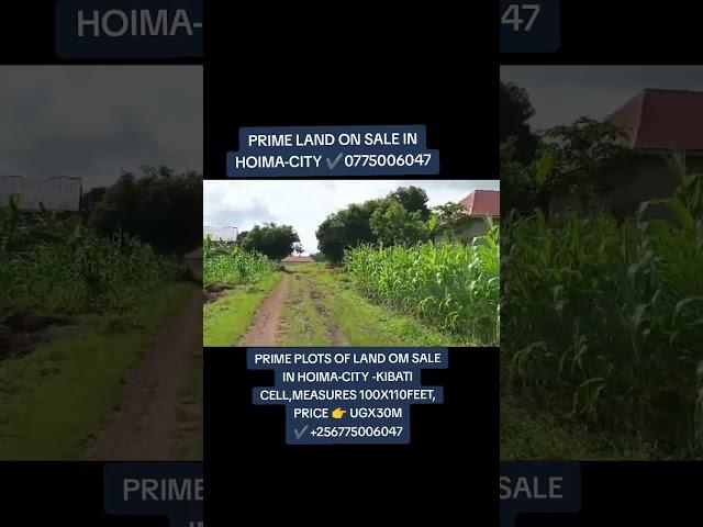 KIBATI CELL, HOIMA-CITY,PLOTS ON SALE @UGX30M, 0775006047