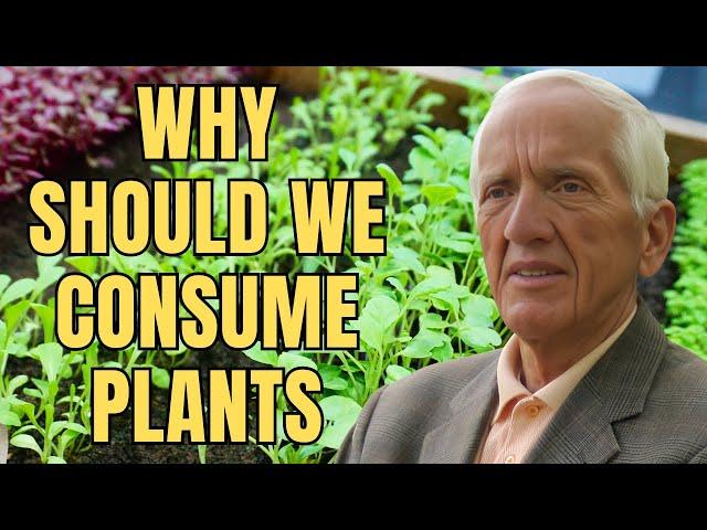 Why should we consume plants—based on a fundamental science perspective?