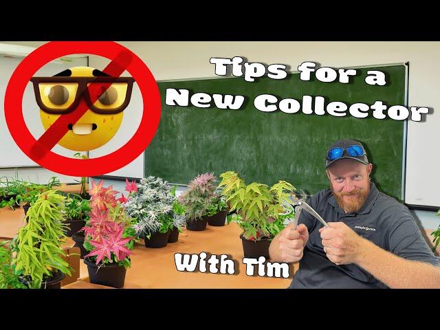 Top 5 Biggest Mistakes Beginner Japanese Maple Collectors Make!