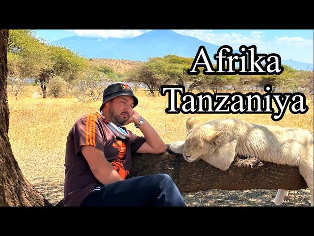 Afrikaga sayohat. Tanzaniya. Sevdim shu yurtni