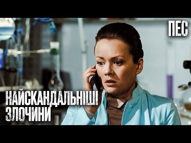 Злочини, які сколихнуло все місто – Серіал Пес 2024 | ДЕТЕКТИВ 2024 | НАЙКРАЩИЙ СЕРІАЛ ПРО ПСА