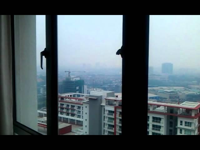 VIDEO0016
