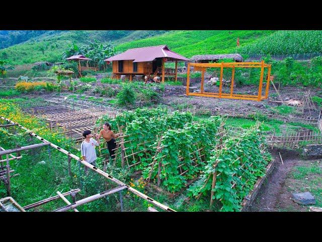 Farm life develops - Harvesting grapes, apples, oranges to sell at market, gardening vegetables