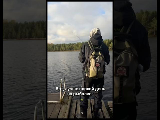 Лучше плохой день на рыбалке! Чем хороший на работе #fishing #рыбалка #юмор #прикол #fishingvideo