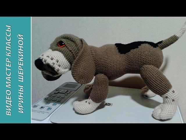 Собака Бигль, ч.3.  Dog Beagle, р.3. Amigurumi dog. Амигуруми собака.