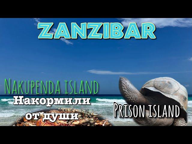 Танзания Остров Prison / Nakupenda island / Stone Town /Наелись лобстеров