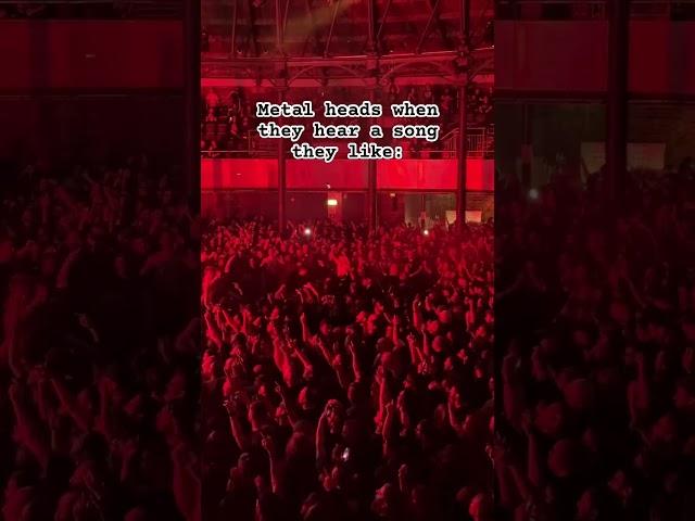 Us: circle pit You:  #livemusic #circlepit