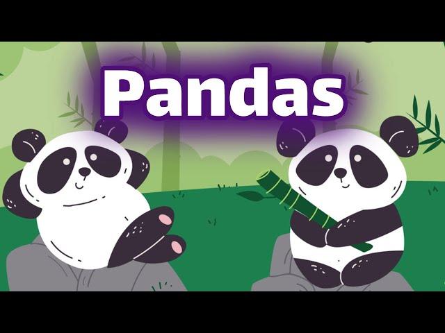 Pandas for Kids | Homeschool Pop