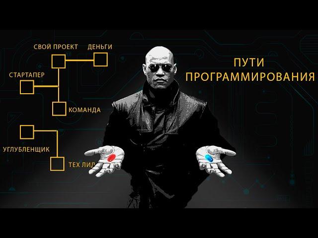 Пути программирования / Типы программистов