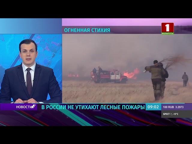 Мощнейшие лесные пожары в России: за сутки площадь возгорания выросла почти на 18 000 га