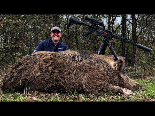 The HEAVIEST sow I’ve ever hunted. Hard working father. (Catch & Cook)