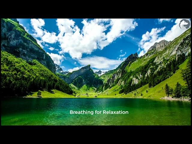 Breathing for Relaxation - Wolf Academy