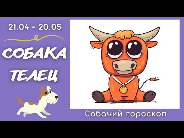 🪐 СОБАЧИЙ ГОРОСКОП: Собака - телец (юмор)