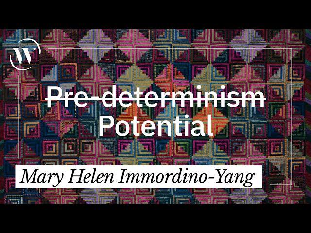 Human development has 5 key principles – here’s why they matter | Mary Helen Immordino-Yang