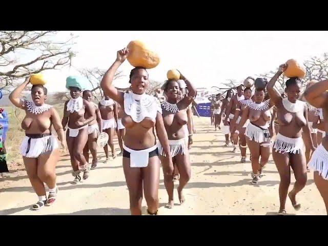 Today We are exposing a secret on African Virginity Dance Unveiling the Tradition, and Empowerment