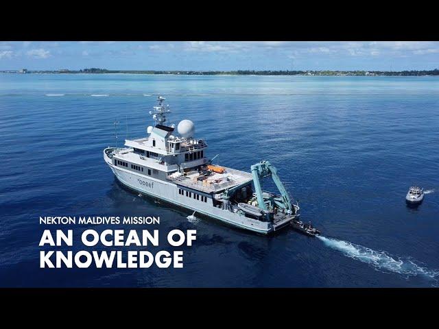 Ocean of Knowledge