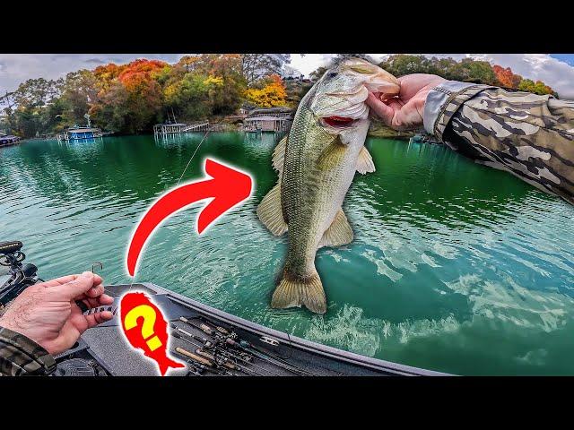 THIS Bait is the Fall Bass Fishing CHEAT CODE!