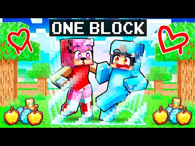 Surviving ONE LOCKED BLOCK With SHIN AMY SONIC and CRAZY FAN GIRLS!