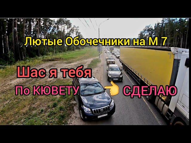 Обочечники. В мире животных на М7.Обнаглели вкрай Жесть, что творят