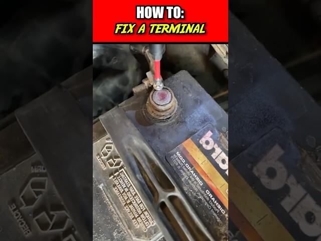 Loose battery terminal - no problem, put a screw in it ‍ #theroygarage￼